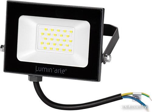 Уличный прожектор Luminarte LFL-30W/05