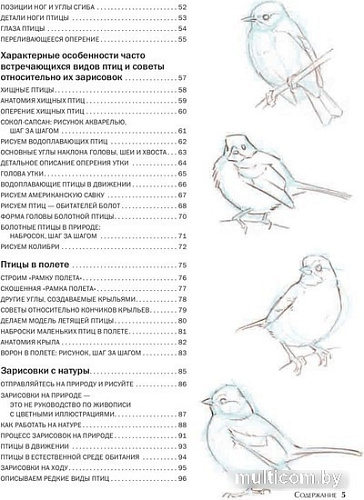 Книга издательства Попурри. Как рисовать птиц (Лоуз Д.)