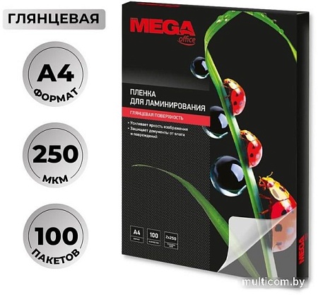 Пленка для ламинирования ProMega Office А4 250 мкм 254703 (100 шт)