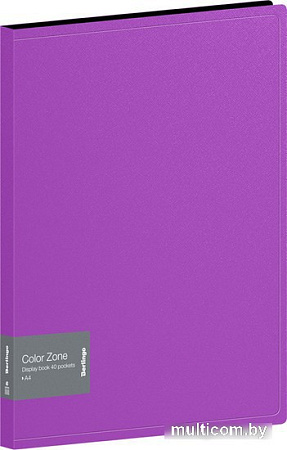 Папка для бумаг Berlingo Color Zone AVp_40107 (40 вкладышей, фиолетовый)