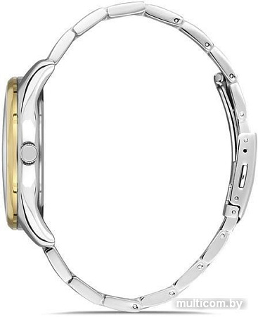 Наручные часы Daniel Klein DK13068-2