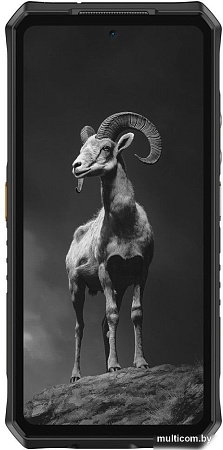 Телефон Ulefone Armor 28 Pro 16GB/512GB (черный)