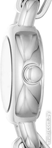 Наручные часы DKNY NY2913