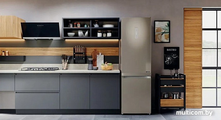 Холодильник Hotpoint-Ariston HTS 9202I BZ O3
