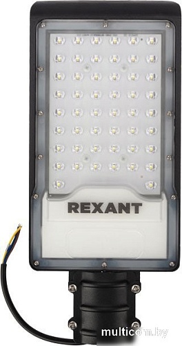 Садовый светильник Rexant ДКУ-01 607-305