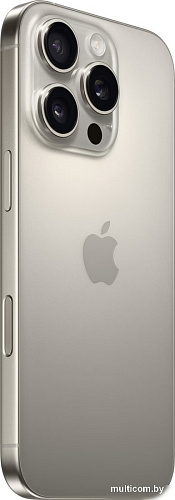 Смартфон Apple iPhone 16 Pro 1TB (природный титан)
