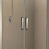 Душевая дверь WeltWasser WW900 900К2-90