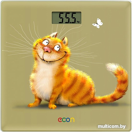Напольные весы Econ ECO-BS002