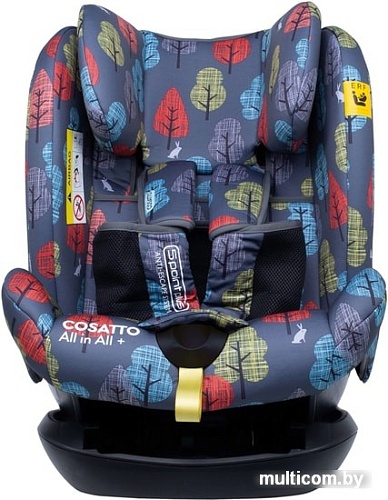 Детское автокресло Cosatto All in All Plus (hare wood)