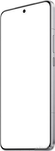 Телефон Xiaomi 15 Ultra 16GB/1TB международная версия (черный/серебристый)