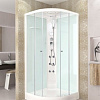 Душевая кабина Domani-Spa Delight 110 100x100 (прозрачное стекло/черный)