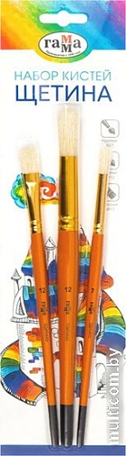 Набор кистей Гамма Щетина 280618.09.04 (3 шт)