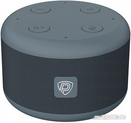 Беспроводная аудиосистема Prestigio Smartvoice (черный/серый)