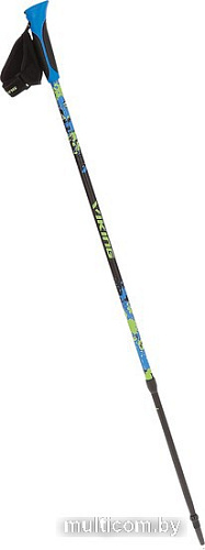 Палки для скандинавской ходьбы Viking Ruten Pro Nordic Walking 650/22/5190-15