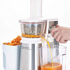 Соковыжималка Ariete Centrika Slow Juicer Metal (177)