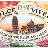 Nesti Dante Мыло твердое Pisa 250 г