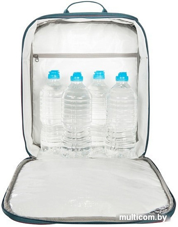 Термосумка Tatonka Cooler Bag M 15л (черный)