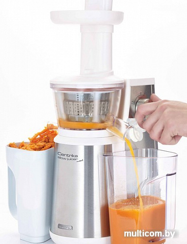 Соковыжималка Ariete Centrika Slow Juicer Metal (177)