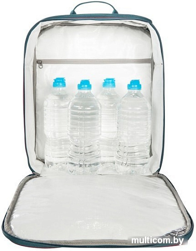 Термосумка Tatonka Cooler Bag M 15л (черный)
