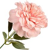 Искусственный цветок Forgarden Хризантемы BN11042 (розовый)