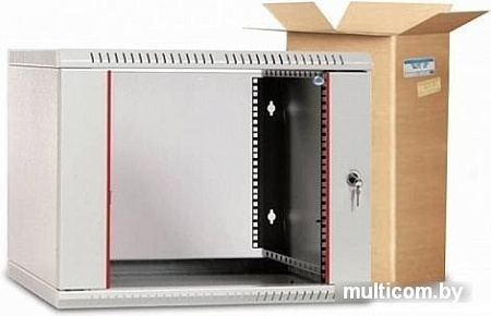 Шкаф распашной ЦМО ШРН-Э-9.650 9U 600x650 мм (серый)