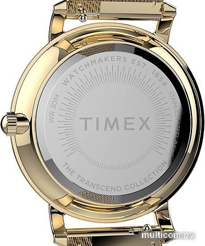 Наручные часы Timex Transcend TW2V52300