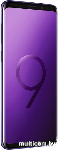 Смартфон Samsung Galaxy S9+ Dual SIM 64GB Exynos 9810 (бургунди)