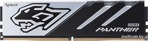 Оперативная память Apacer Panther 2x16ГБ DDR5 5200 МГц AH5U32G52C5227BAA-2