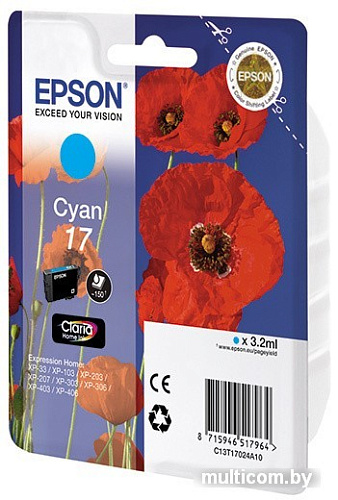 Картридж Epson C13T17024A10