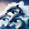 Картина по номерам Молли Дельфины в море 40x50 FHR0570