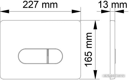 Панель смыва Berges Wasserhaus Novum D7 (хром)