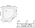 Душевой поддон RGW LUX/TN-TR 16180599-41 90x90