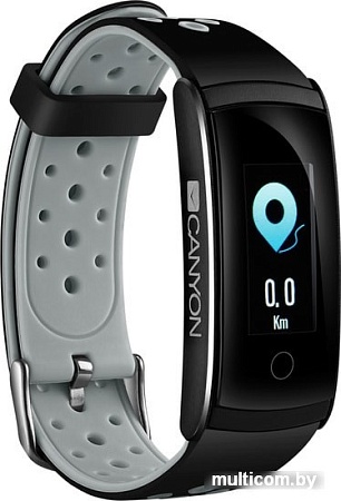 Фитнес-браслет Canyon CNS-SB41BR
