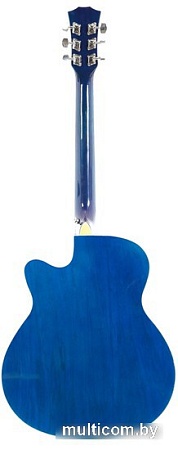 Акустическая гитара Elitaro E4030 BLS