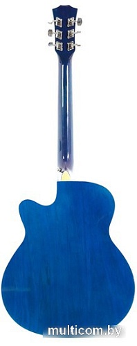 Акустическая гитара Elitaro E4030 BLS