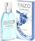 Парфюмерия Positive Enzo Sankaro EdT (95 мл)