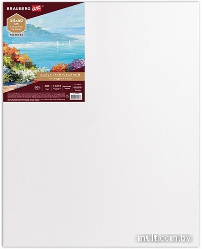 Холст для рисования BRAUBERG Art Premiere 190641