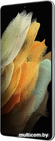 Смартфон Samsung Galaxy S21 Ultra 5G 12GB/256GB (серебряный фантом)