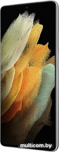 Смартфон Samsung Galaxy S21 Ultra 5G 12GB/256GB (серебряный фантом)