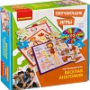 Развивающая игра Bondibon Веселая анатомия ВВ3792