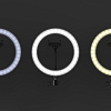 Ritmix RRL-262