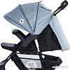 Коляска прогулочная «книга» Lorelli Daisy Basic (cool grey)