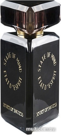 State of Mind Secret of Success EdP (100 мл)