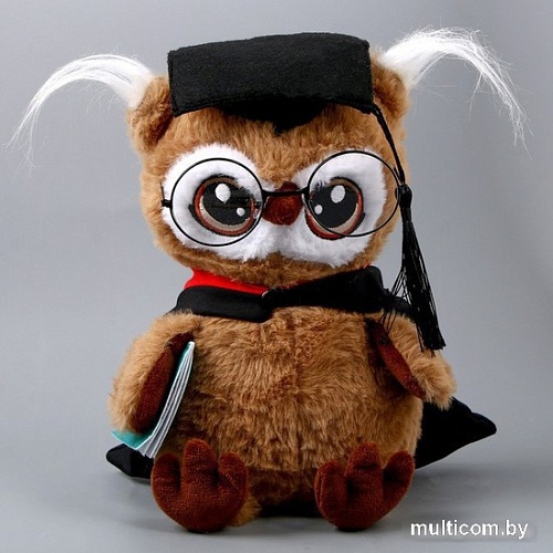 Классическая игрушка Milo Toys Совушка с книжкой 9430794