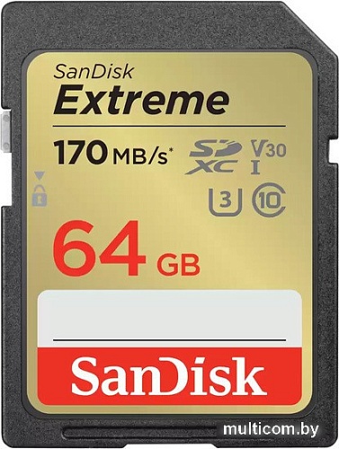 Карта памяти SanDisk Extreme SDXC SDSDXV2-064G-GNCIN 64GB