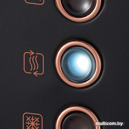 Тостер Morphy Richards Accents Rose Gold Schwarz 242104EE
