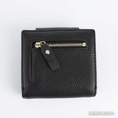 Кошелек Francesco Molinary 895-8005-BLK (черный)