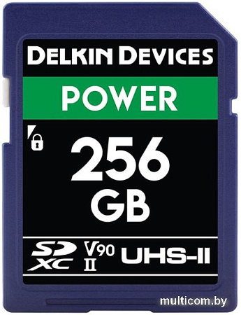 Карта памяти Delkin Devices SDXC Power UHS-II 256GB