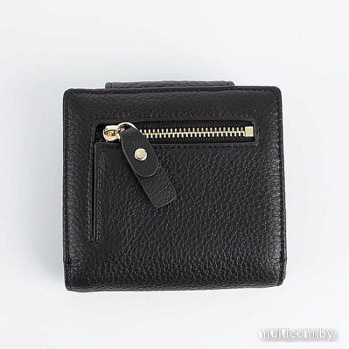 Кошелек Francesco Molinary 895-8005-BLK (черный)