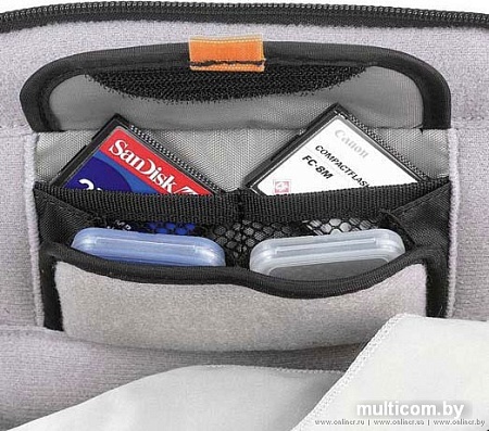 Сумка Lowepro Rezo 170 AW